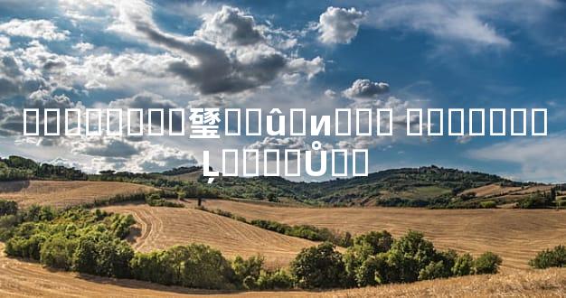 �˽�Է����㻹��û�и��� ��˵���˵Ļ����Ů��